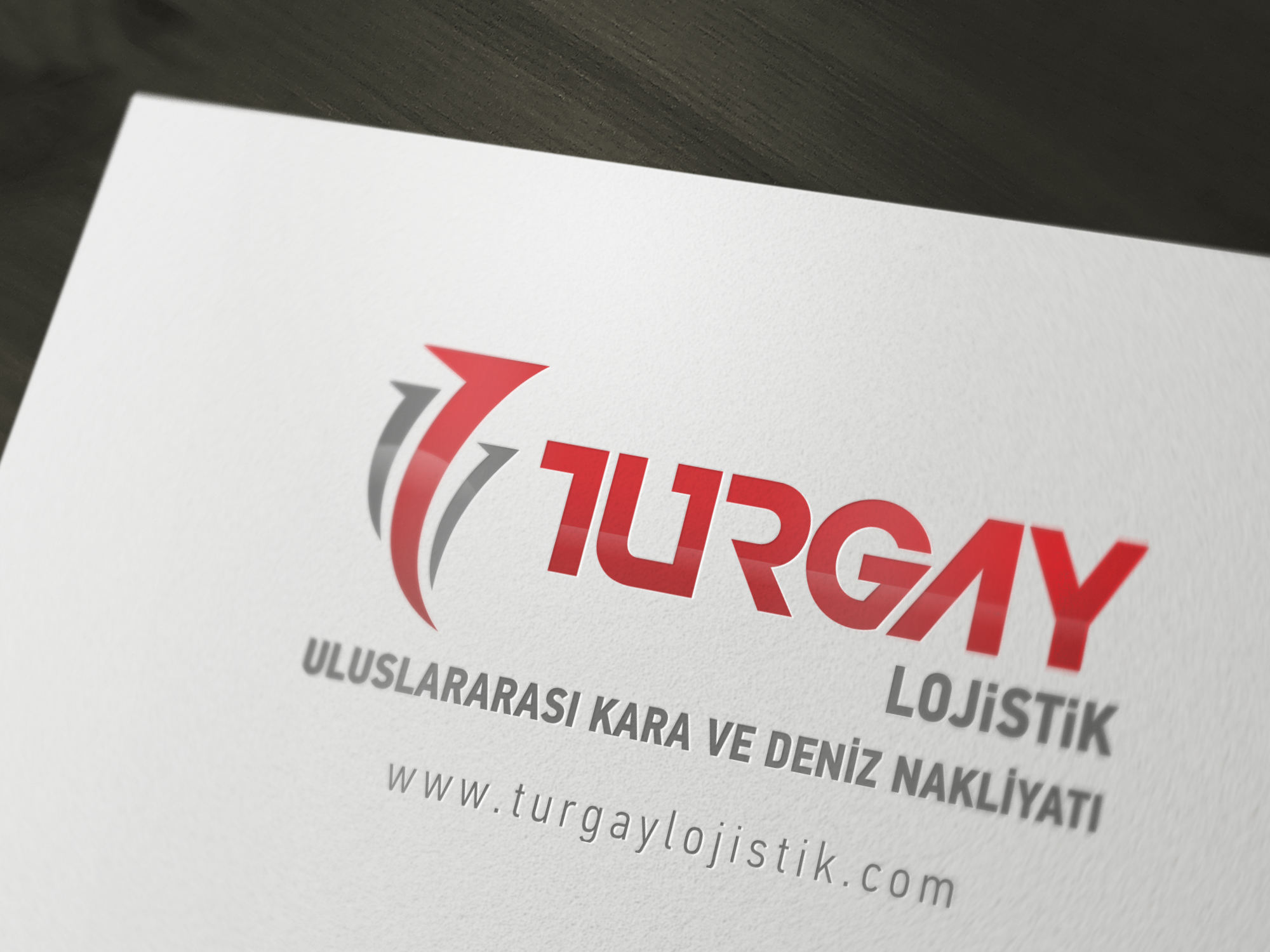 Turgay Lojistik Logo Tasarım